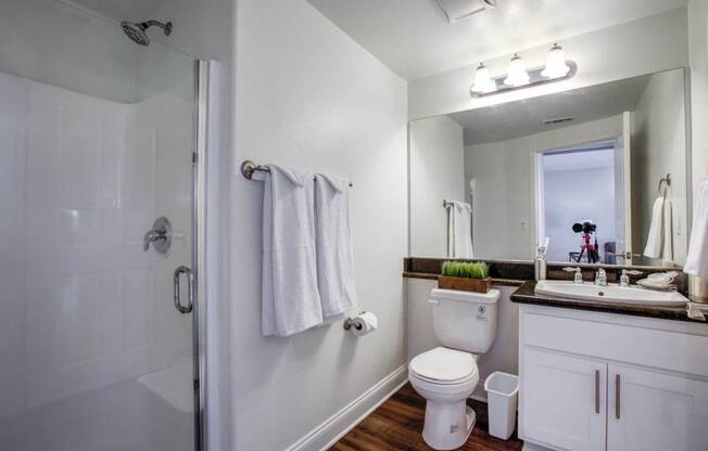 Luxurious Bathroom at Madison Toluca, North Hollywood, California