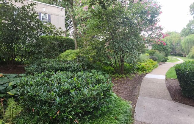 2 beds, 1 bath, 897 sqft, $2,385, Unit A-15