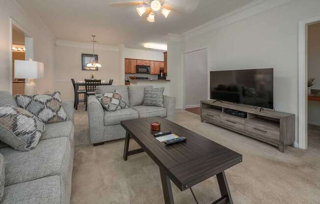 A living room with a grey couch, a coffee table, and a television.