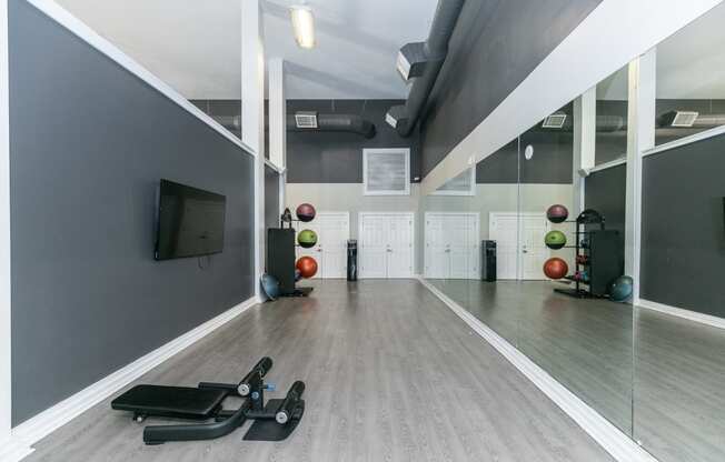 a fitness room with weights and a tv on the wall  at Deerfield Village, Georgia