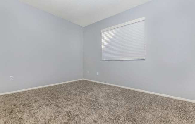 A room with a carpeted floor and a window with blinds.