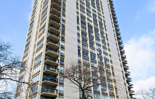 Gold Coast 1bed/1bath Apartment
