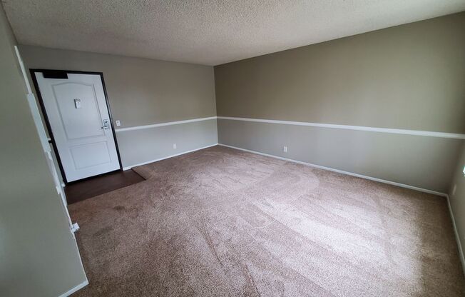 Studio, 1 bath, 408 sqft, $1,850, Unit 143