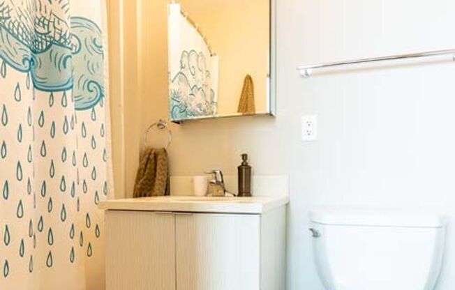 1 bed, 1 bath, 480 sqft, $1,269, Unit 502