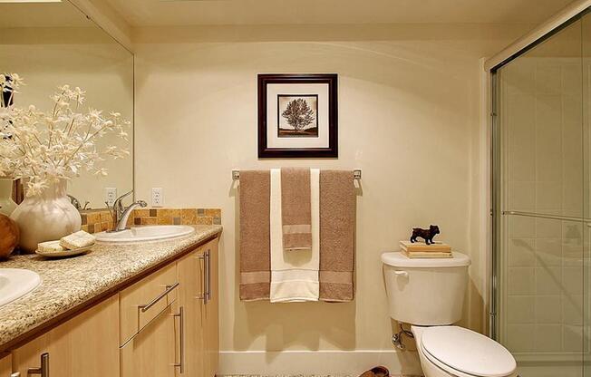 glass enclosed shower