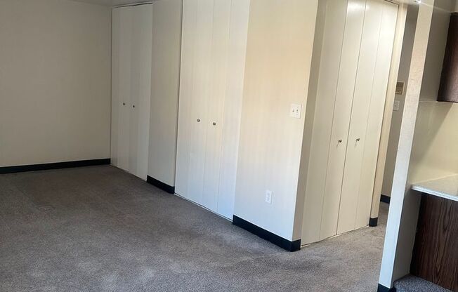 Studio, 1 bath, 460 sqft, $900, Unit 210N