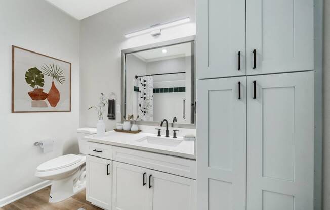 a bathroom with a sink and a toilet and a mirror