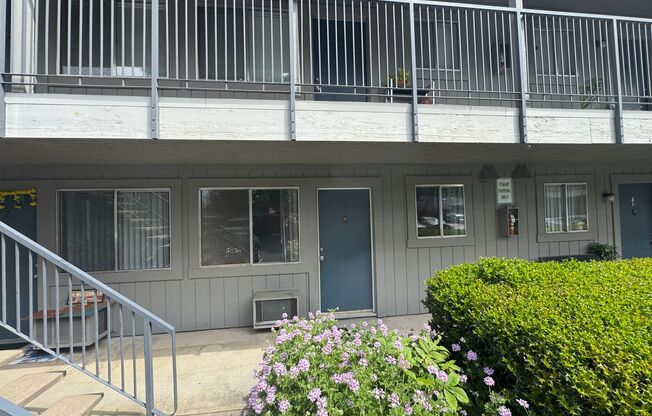 1 Bed / 1 Bath | North Oak Park Downstairs Apartment Available Now