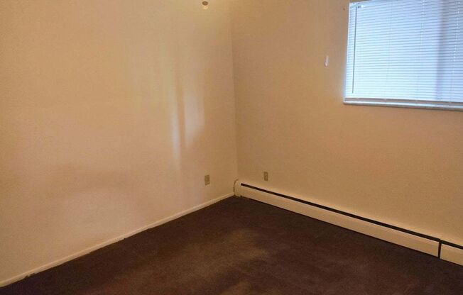 1 bed, 1 bath, 700 sqft, $900