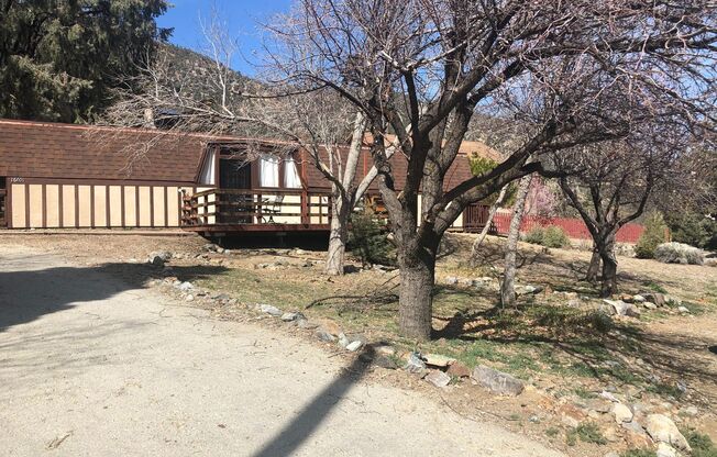 QUAINT CABIN IN A GREAT LOCATION!!