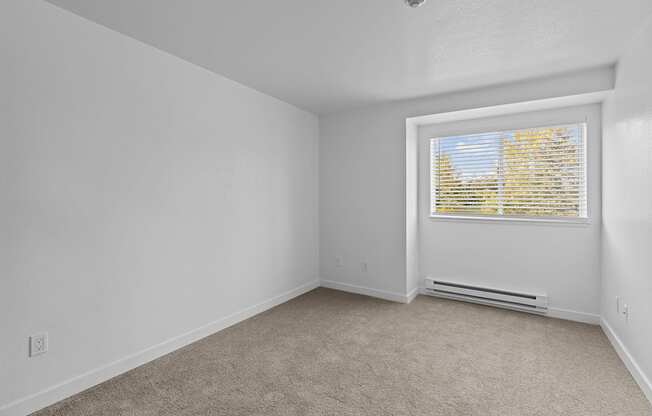 an empty room with a window and carpet
