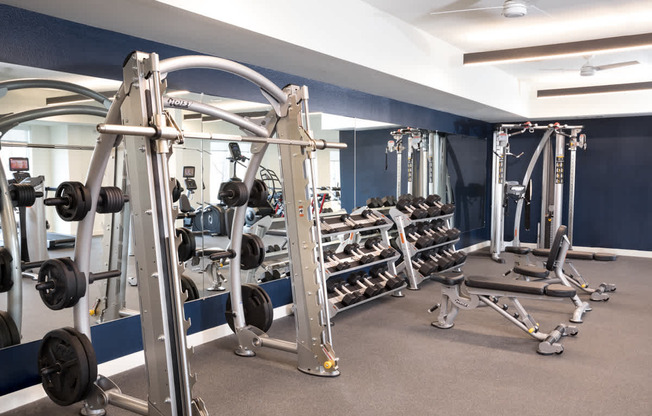 a fitness room with weights and cardio equipment