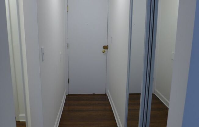 Studio, 1 bath, 305 sqft, $1,250, Unit 409