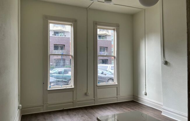 Studio, 1 bath, 166 sqft, $1,600, Unit 102