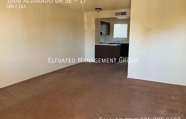 1008 ALVARADO DR SE