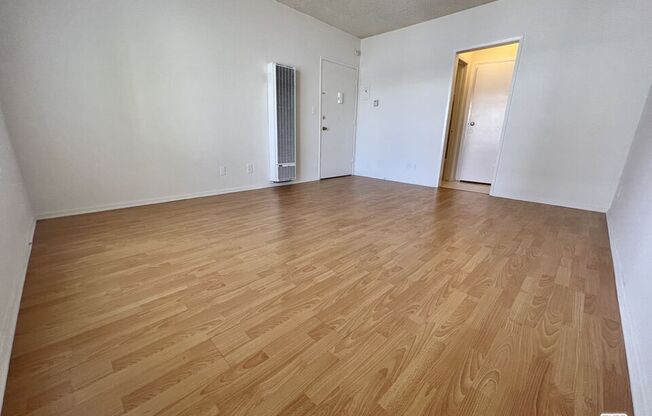 Studio, 1 bath, 350 sqft, $1,650, Unit 5