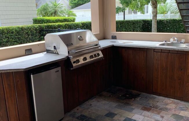 910 Pawstand Road, Celebration, FL 34747