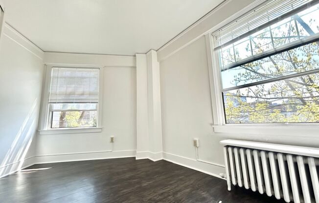 1 bed, 1 bath, 335 sqft, $1,450, Unit 308