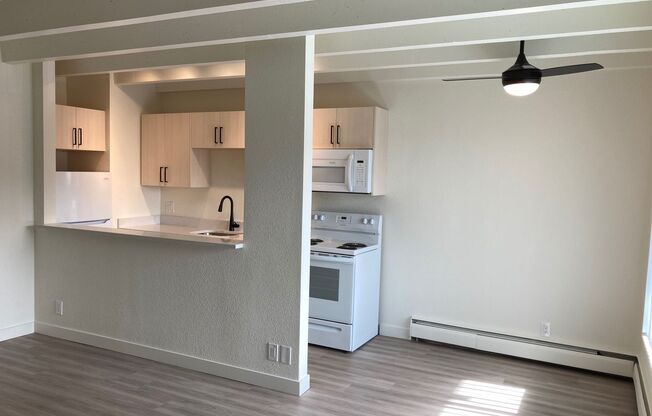 1 bed, 1 bath, 640 sqft, $1,350, Unit 203