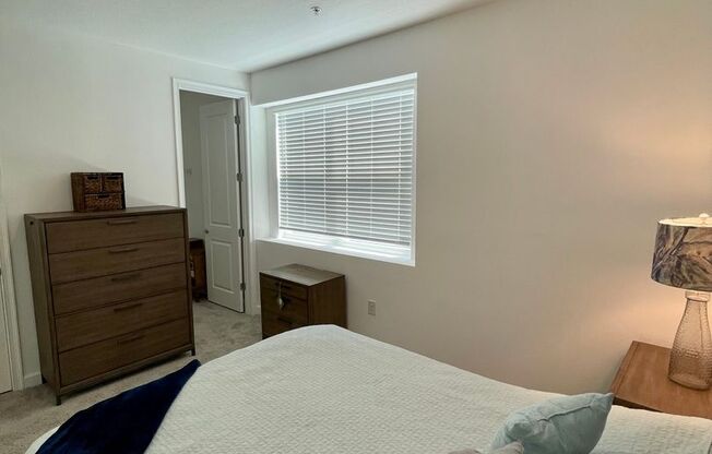 1 bed, 1 bath, $1,600