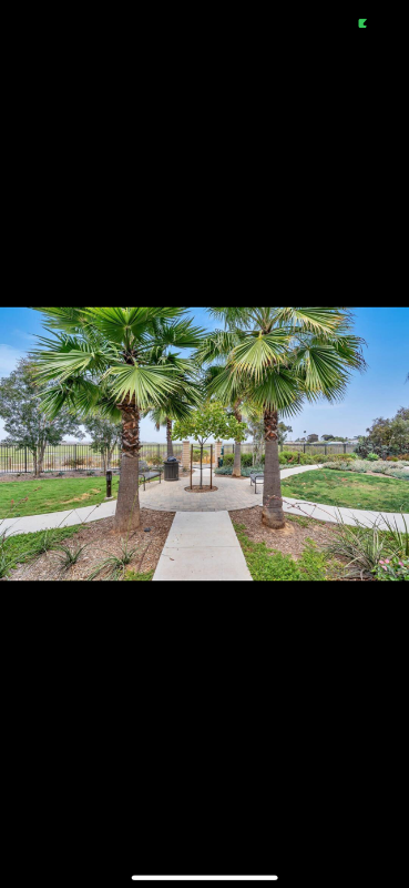 506 Turnstone Lane