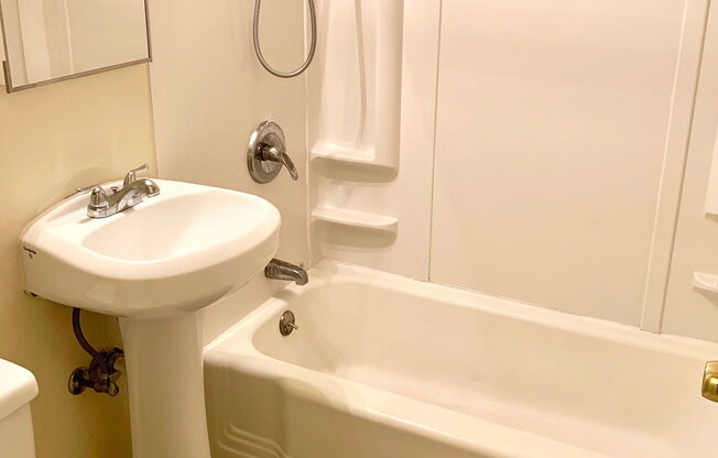 Studio, 1 bath, 302 sqft, $1,100, Unit 104