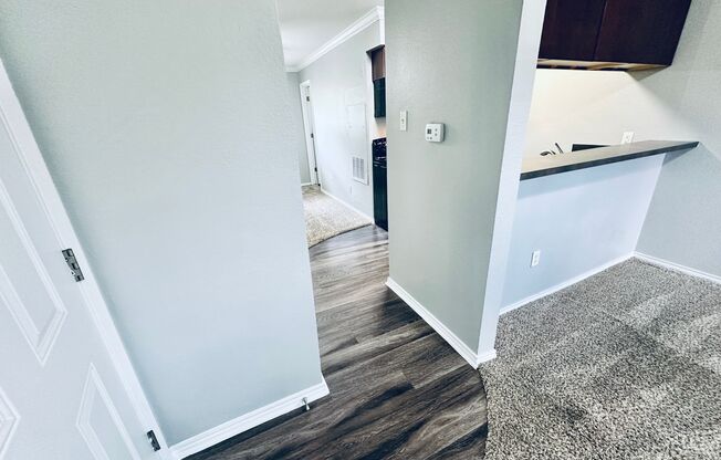 Studio, 1 bath, 500 sqft, $750, Unit 208