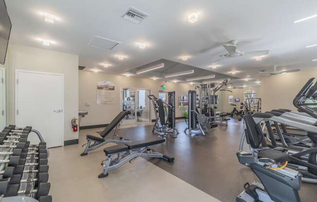 State Of The Art Fitness Center at The Boot Ranch Apartments, Palm Harbor, FL, 34685