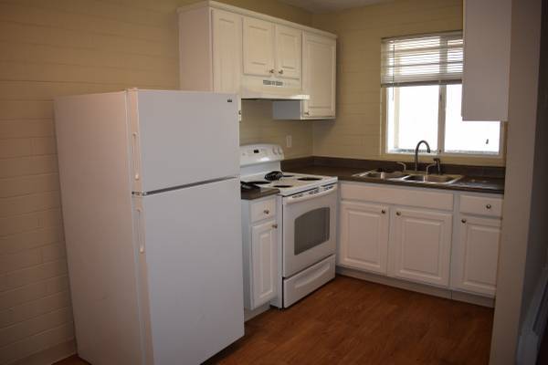 1 bed, 1 bath, 600 sqft, $1,300