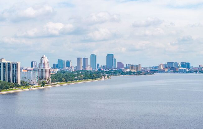 Ceiling to Floor Bayshore Views at The Monte Carlo