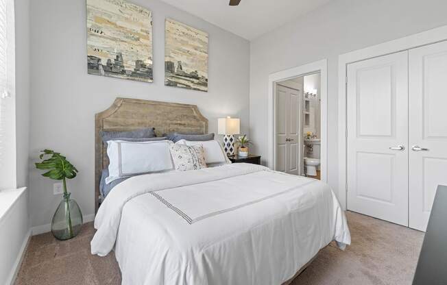 a bedroom with a bed and a closet