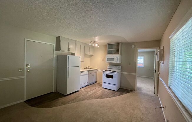 1 bed, 1 bath, $1,450, Unit 05