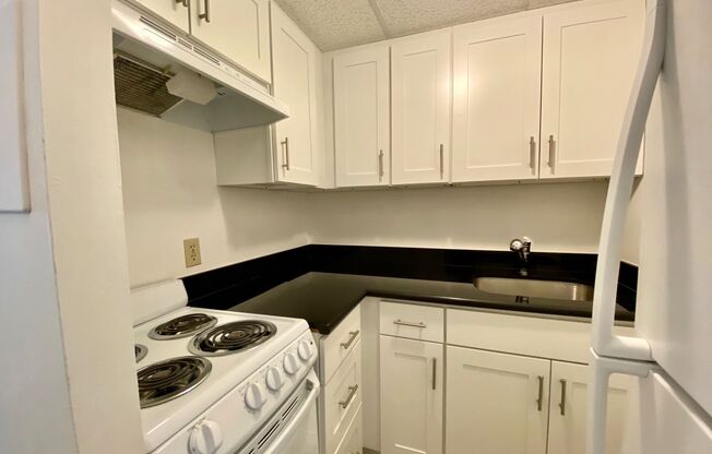 1 bed, 1 bath, 335 sqft, $1,350, Unit 207