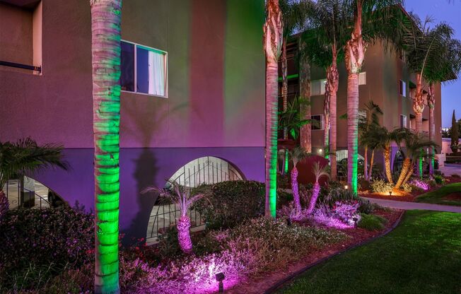 Penthouse Apartments | Spacious 1 & 2 Bedroom Apartments Near SDSU