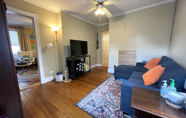 5 Hearn St 1