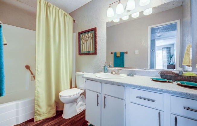 a bathroom with a white toilet next to a bathtub