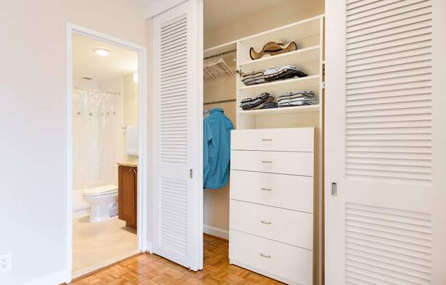 A white closet with a blue shirt hanging on the door.