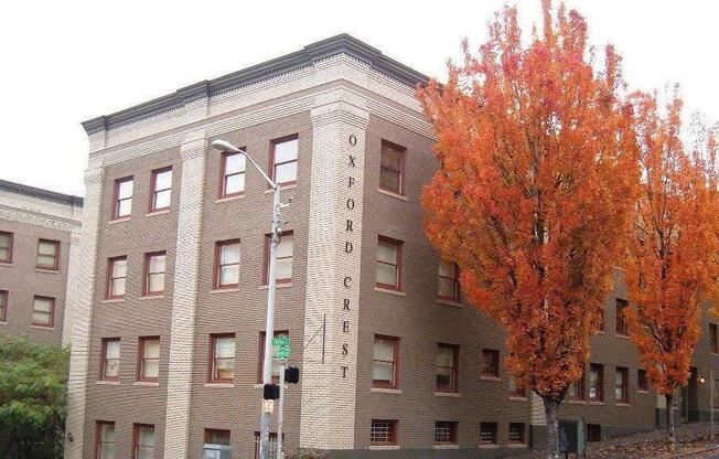 Studio, 1 bath, 280 sqft, $950, Unit 202