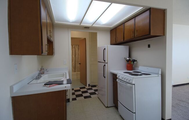 1 bed, 1 bath, 620 sqft, $1,055, Unit 209