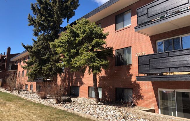2 beds, 1 bath, 875 sqft, $1,895, Unit 205