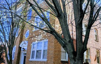 905 N. Belmont Ave.*