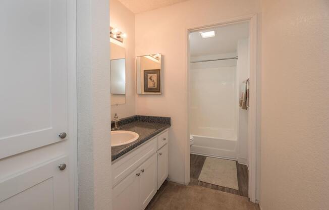 River Pointe model 2x2 primary bathroom