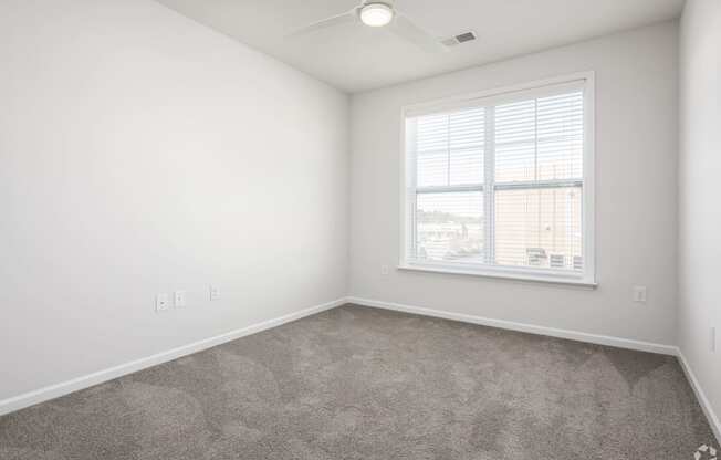 One Bedroom