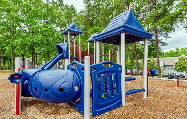 Dominium-Fulton Pointe-Playground