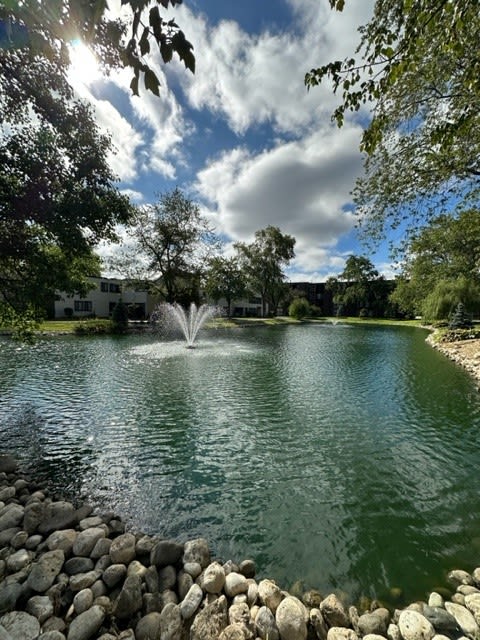 Serene Ponds & Fountains