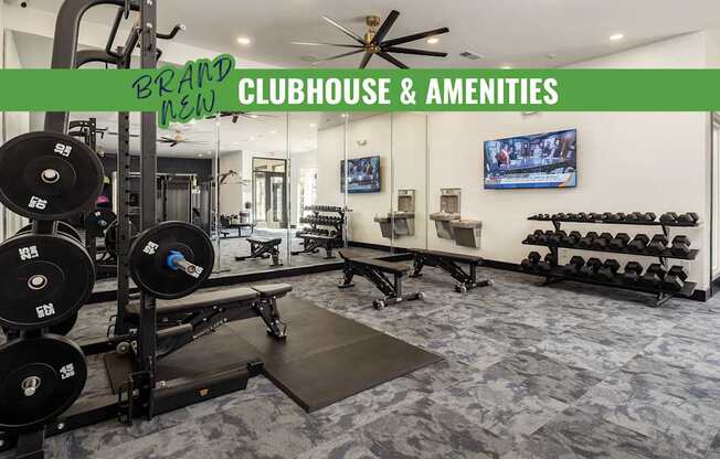 1, 2, & 3 BEDROOM APARTMENTS IN CHARLOTTE