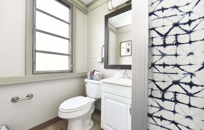 shower in bathroom with vanity, mirror, toilet, and window