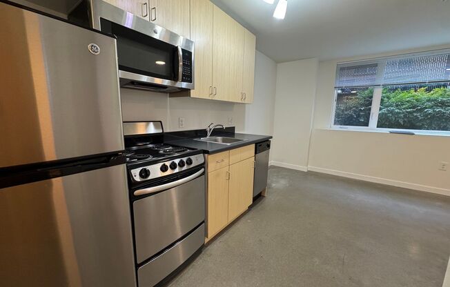 Studio, 1 bath, 248 sqft, $1,295, Unit B09