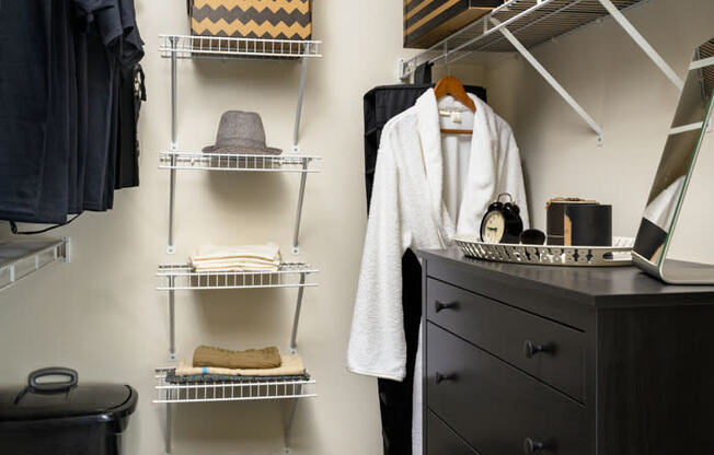 Walton Ridenour Model Walk-in closet