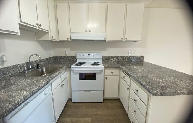 Studio, 1 bath, 436 sqft, $1,225, Unit 38
